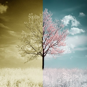Il Valore delle Emozioni “Negative”.